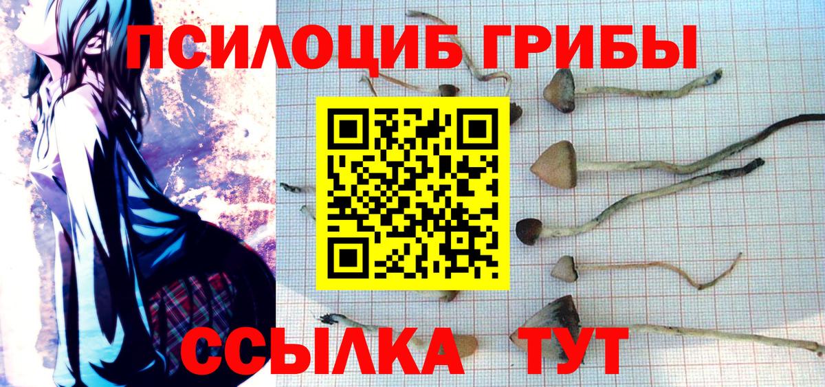 Псилоцибиновые грибы MAGIC MUSHROOMS  Псилоцибиновые грибы GOLDEN TEACHER  Зеленодольск  Вход с VPN 